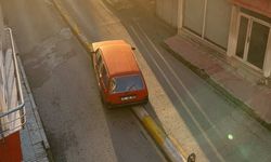 Aşkla Yapılan Hizmeti Kartal Bile Aşamadı!