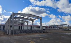 Çorum Belediyesi, Yıllık 5 Milyon Kutu Mama Üretecek