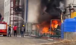 Yangının Fabrikaya Ulaşması Son Anda Önlendi