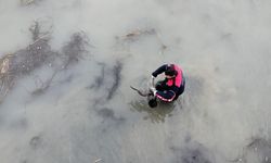 Oltaya Takılan Karabatak’ın İmdadına İtfaiye Yetişti