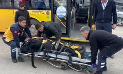 Yine Halk Otobüsü Yine Skandal: 1 Yaralı