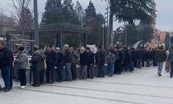 O Kuyruğu Görenler Şok Oldu!