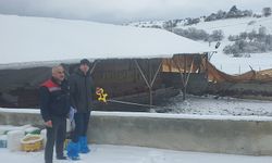 Hayvan İşletmelerinde Kapasite Raporlama Çalışmaları Devam Ediyor