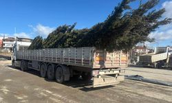 Her Şey Daha Yeşil Bir Ortaköy İçin