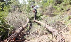 Yerinde Üretim Yapan Orman Köylülerine Milyarca Liralık Destek