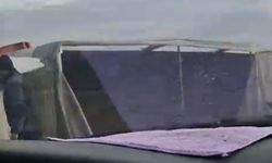 Uyuyan Şoför TIR’ı Devirdi! Büyükbaş Hayvanlar Yola Savruldu