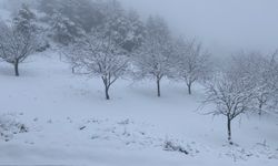 Ceviz Bahçeleri Karla Kaplandı