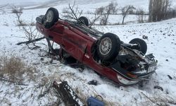 Yoldan Çıkan Otomobil Tarlaya Devrildi: 4 Yaralı