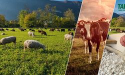 TARSİM’de Yeni Dönem!