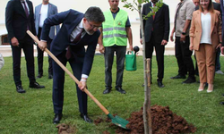 Yüzde 30’U Orman Olan Türkiye’de 517 Milyon Fidan Toprakla Buluşturuldu