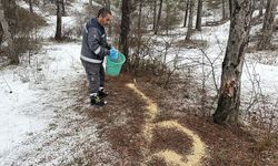 Çorum Belediyesi Soğuk Kış Günlerinde Yaban Hayvanlarını Unutmadı