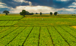 Hesaplarınızı Kontrol Edin! 5 Alanda Tam 1,6 Milyar TL Ödeme Yapıldı
