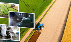 Dikkat! 227 Milyonluk Destek Hesaplara Yatırıldı