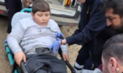 Küçük Çocuk 4 Köpeğin Saldırısına Uğradı!