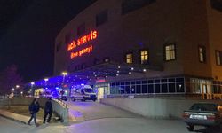 Genç Çoban Silahla Ağır Yaralandı