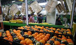 Tüm Zamanların Rekoru Kırıldı!