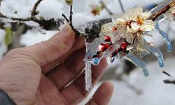 Meteorolojiden Şok Uyarı! Sıcaklık 7 Derece Birden Düşecek