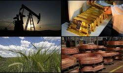 Emtia Piyasası Ocak Ayında Da Rekor Tazeledi