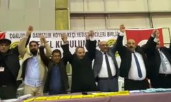 Birlik Seçimini Kazanan Şanal Ve Ekibinden Sevinç Gösterisi