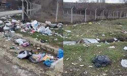 Şok Eden Çevre Katliamının Sorumlusu Kim?