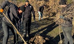 Başkan Torun, İlçe Halkıyla Birlikte Dağlarda Toprağı Fidanlarla Buluşturdu