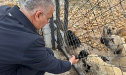 AK Partililerden Hayvan Barınağına Ziyaret