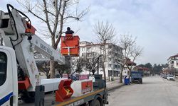 Osmancık Belediyesi Park Ve Bahçelerde Bakıma Başladı
