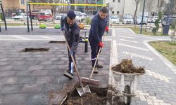 Her Şey Çocuklar İçin