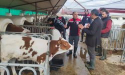 Genç Nüfus Köylerde Yaşamak İstemiyor