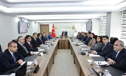 Sahipsiz Hayvanların Yaşam Koşulları İyileştirilecek