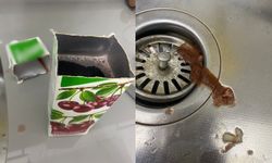 Kapalı Meyve Suyundan Çıkanlar Mide Bulandırdı