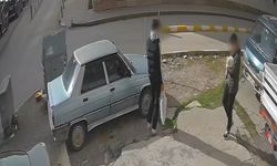 Gençler Pamuk’u İşyeri Önünden Alıp Uzaklaştı: Sahibi Perişan