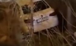 Şarampole Uçun Otomobilden Mucize Kurtuluş