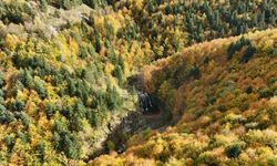 21 İlde Orman Sınırları Değiştirilerek Yapılaşmaya Açıldı! Aralarında Çorum’da Var