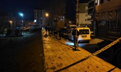 Çocuk Parkında Kanlı Kavga! 1 Yaralı