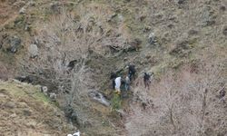 Çorum’daki Vahşette Yeni Gelişme: Cesedin Kafa Kısmı 3 Kilometre Uzakta Bulundu