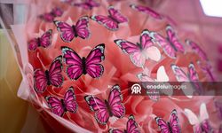 Sevgililer Günü’nün Yeni Trendi Kelebek Buket Ve Orkide! Siz Hangisini Aldınız?