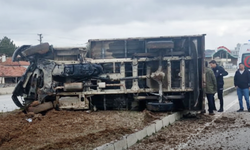 Hayvan Yüklü Kamyonet Devrildi: 3 Yaralı