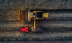 Yağışlar Buğday Üretiminde Rekor Beklenti Yarattı