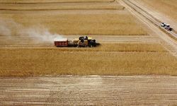 Müjde! Tarımsal Destekleme Ödemesi Yapılıyor