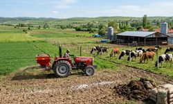 CHP’li Uysal, “Kadınlar, Cumhuriyetin Kazanımlarının Temelidir”