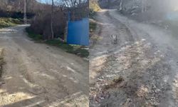 Bu Çağ’da Köy Yolu Değil Adeta Çile Yolu