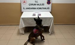 İstihbarat Devreye Girdi! Uyuşturucu Dolu Araca Operasyon