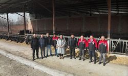 Çorum’da Manda Yetiştiriciliğin Geliştirilmesi İçin Saha Çalışmaları Sürüyor