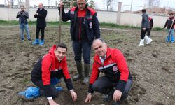 Modern Bağcılık Teknikleri Bilimsel Verilerle Yaygınlaştırılacak