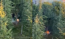 Gençlerin Parkta Sürekli Yaktığı Ateş Mahalleliyi Canından Bezdirdi