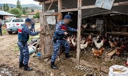 Zehir Tacirlerinin Bu Zulası Şeytanın Bile Aklına Gelmez