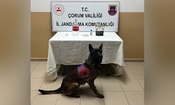 Jandarma’dan Mahalleye Operasyon!