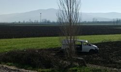 Panelvan Tarlaya Uçtu: 8 Yaralı