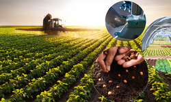 Hesaplarınızı Kontrol Edin! 9 Milyarlık Dev Ödeme Yatırıldı